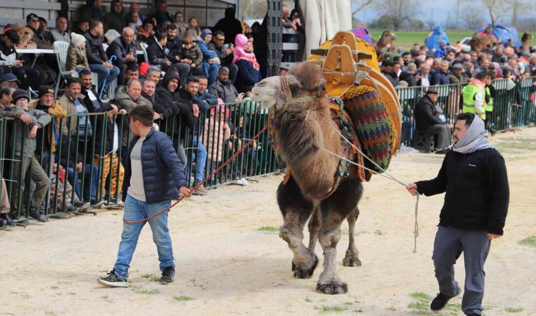 Manisa’nın Saruhanlı ilçesinde bu