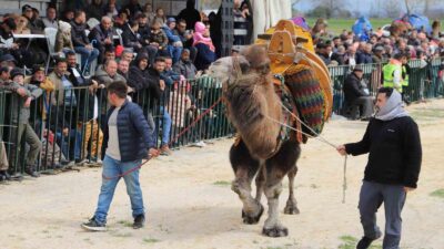 Manisa’nın Saruhanlı ilçesinde bu yıl