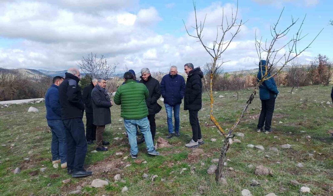 Yunusemre Kent Konseyi, Yuntdağı’nda