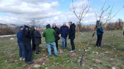Yunusemre Kent Konseyi, Yuntdağı’nda üretimden