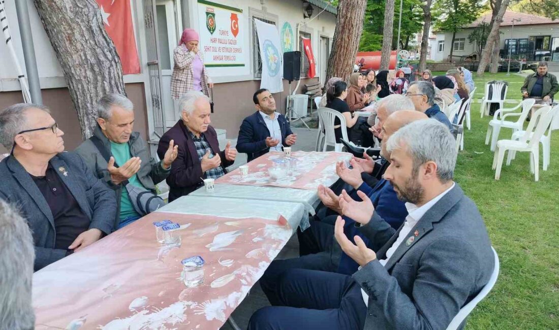 Türkiye Harp Malulü Gaziler,