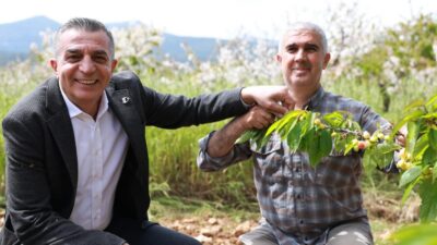 Kuzey Yarımküre’de açık alanda yetiştirilen