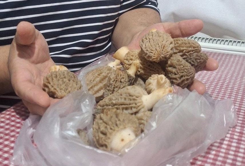 Manisa’nın Sarıgöl ilçesi ve çevresinde