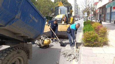 486’ncı Uluslararası Manisa Mesir Macunu