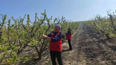 Manisa’nın Salihli ilçesindeki Tarım ve