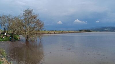 Manisa’nın Sarıgöl ve Alaşehir ovalarında