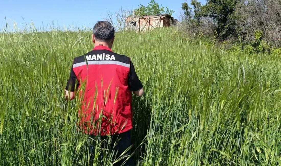 Sarıgöl İlçe Tarım ve Orman