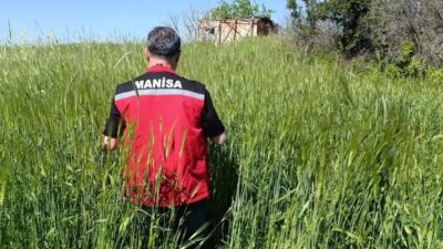 Sarıgöl İlçe Tarım ve Orman