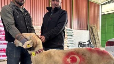 Manisa’nın Sarıgöl ilçesinde yaklaşan Kurban