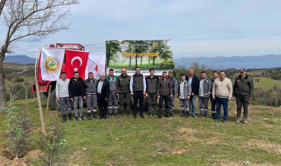 Manisa’nın Sarıgöl ilçesinde, Ağaç Bayramı