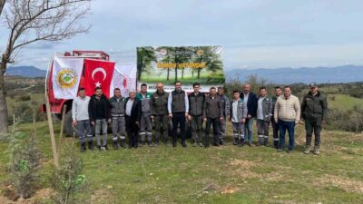 Manisa’nın Sarıgöl ilçesinde, Ağaç Bayramı