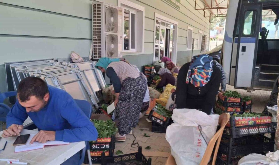 Manisa’nın Sarıgöl ilçesi ve çevresinde