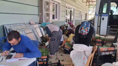 Manisa’nın Sarıgöl ilçesi ve çevresinde