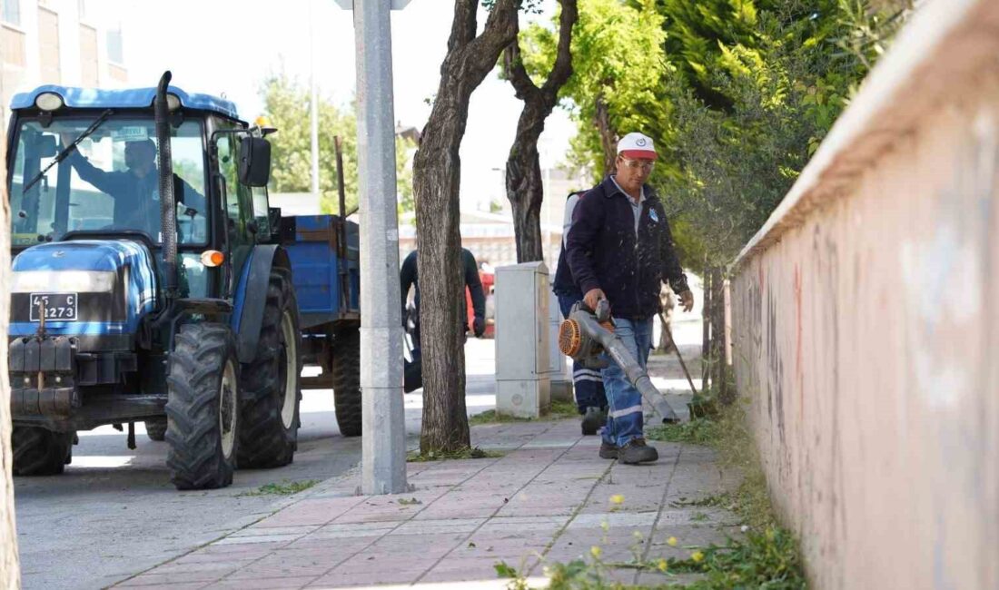 Yunusemre Belediyesi, yaz mevsimi