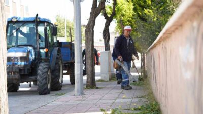 Yunusemre Belediyesi, yaz mevsimi öncesi