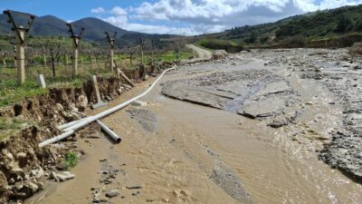 Manisa’nın Sarıgöl ilçesine bağlı Ziyanlar