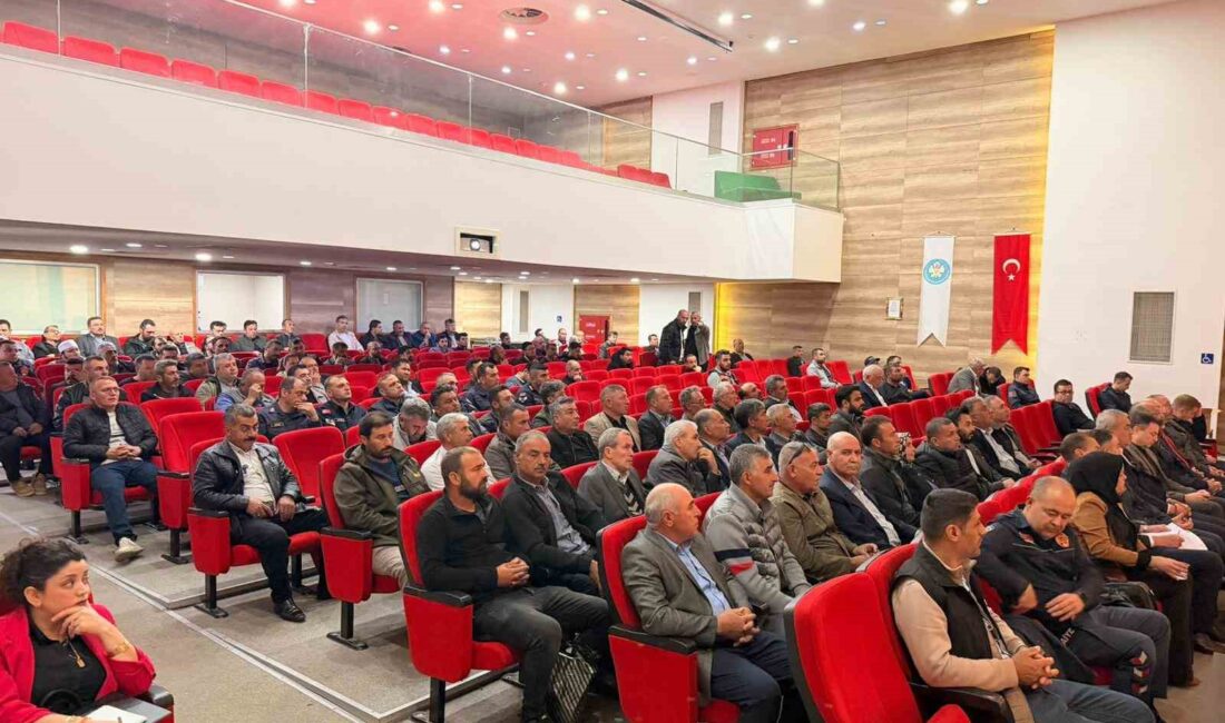 Manisa’nın Alaşehir ilçesinde orman yangınlarına