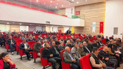 Manisa’nın Alaşehir ilçesinde orman yangınlarına