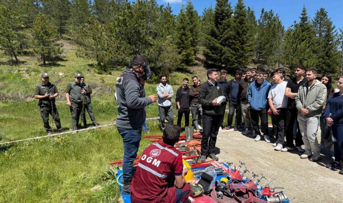 Manisa’nın Demirci ilçesinde, orman