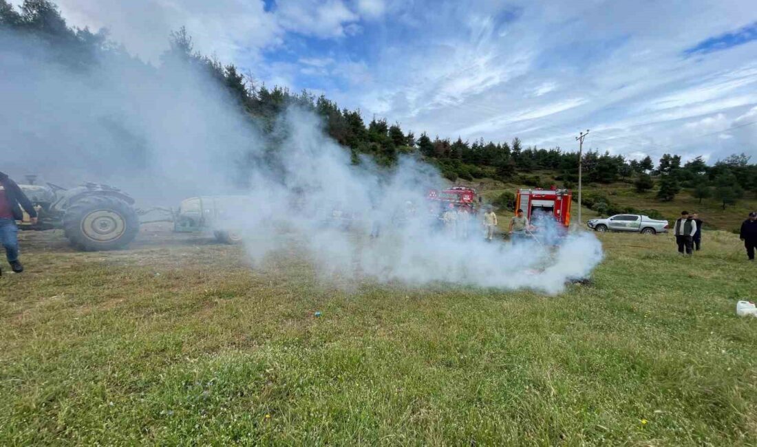 Manisa’da orman yangınlarına karşı