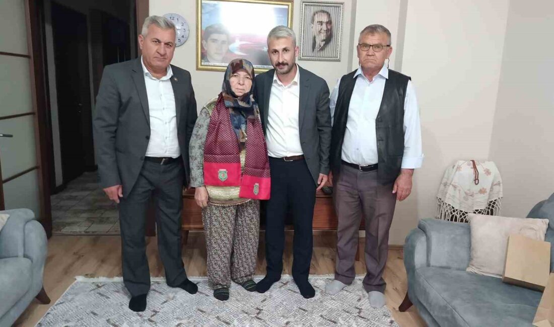 Türkiye Harp Malulü Gaziler,