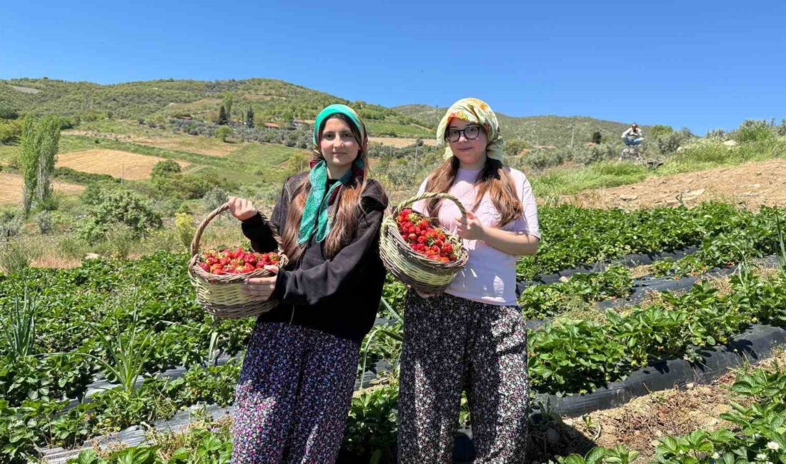 Gençlik ve Spor Bakanlığı’nın
