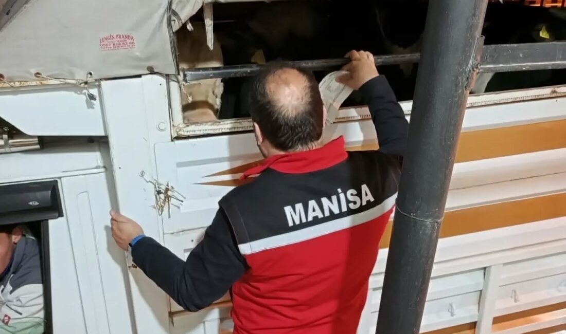 Manisa’nın Salihli ilçesindeki Tarım