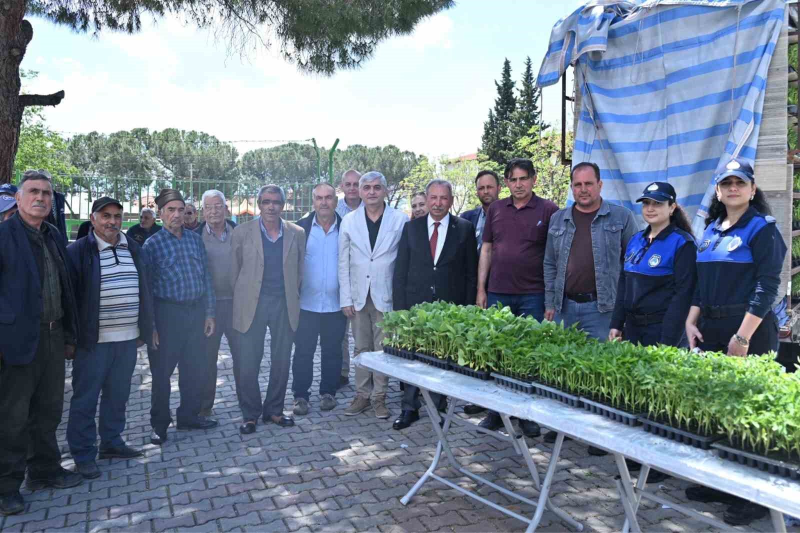 Salihlili üreticilere 34 bin sebze fidesi