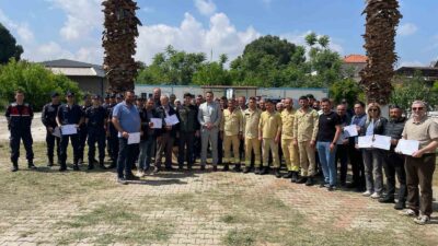 Manisa’nın Sarıgöl ilçesinde orman ve
