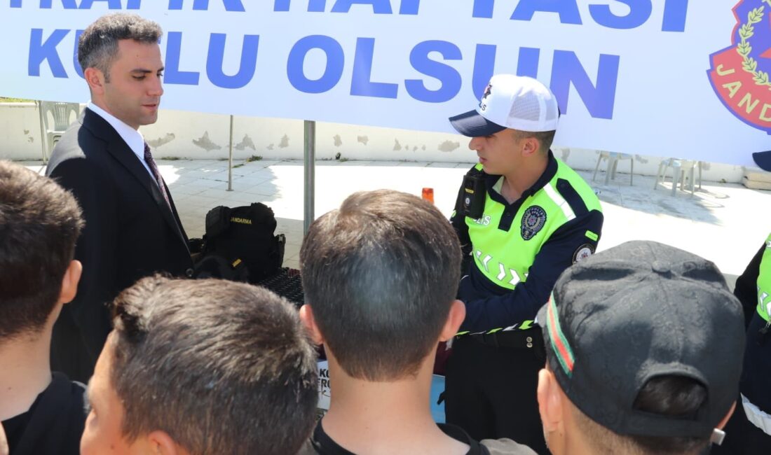 Manisa’nın Selendi ilçesinde Karayolu