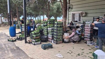 Manisa’nın Sarıgöl ilçesinde üzümden önce