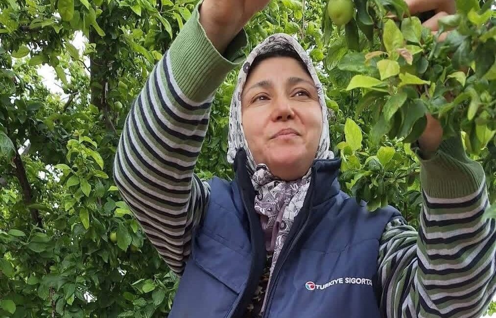 Manisa’nın Sarıgöl ilçesi ve çevresinde