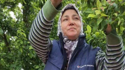 Manisa’nın Sarıgöl ilçesi ve çevresinde