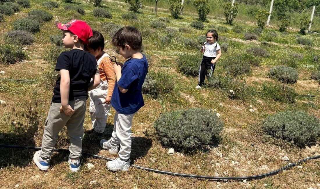 Yunusemre Belediyesi bünyesinde eğitim